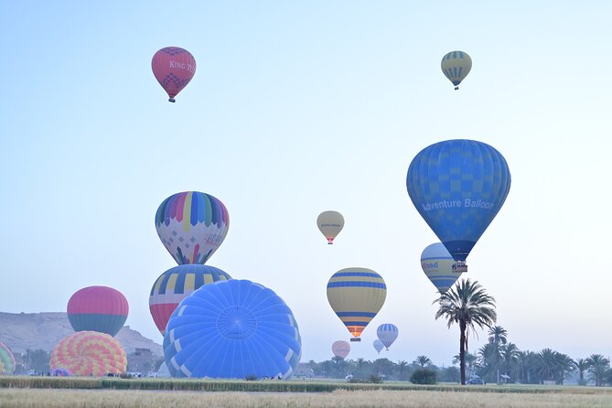 1 Day Private Tour with Hot Air Balloon from Hurghada to Luxor - Valley of the Kings and the tombs of the pharaohs