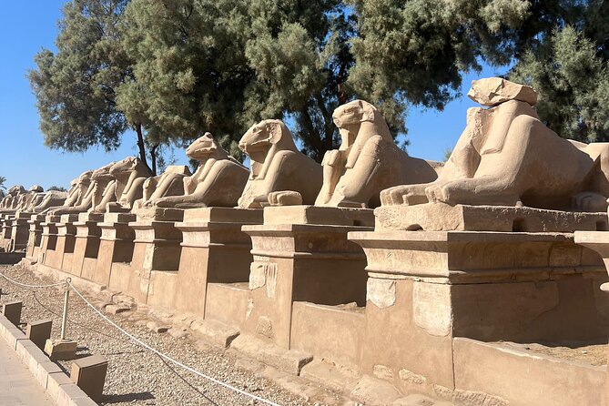 1 Day Private Tour with Hot Air Balloon from Luxor - Valley of the Kings: two hours among royal tombs