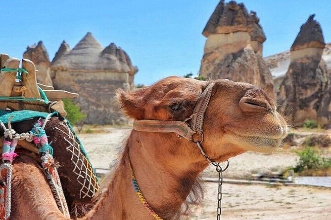 3-Day Cappadocia Tour with Camel Ride & Optional Balloon Ride - Key things to know before booking