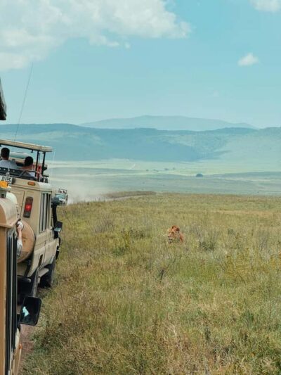 3-Day Safari to Serengeti & Ngorongoro + Balloon experience
