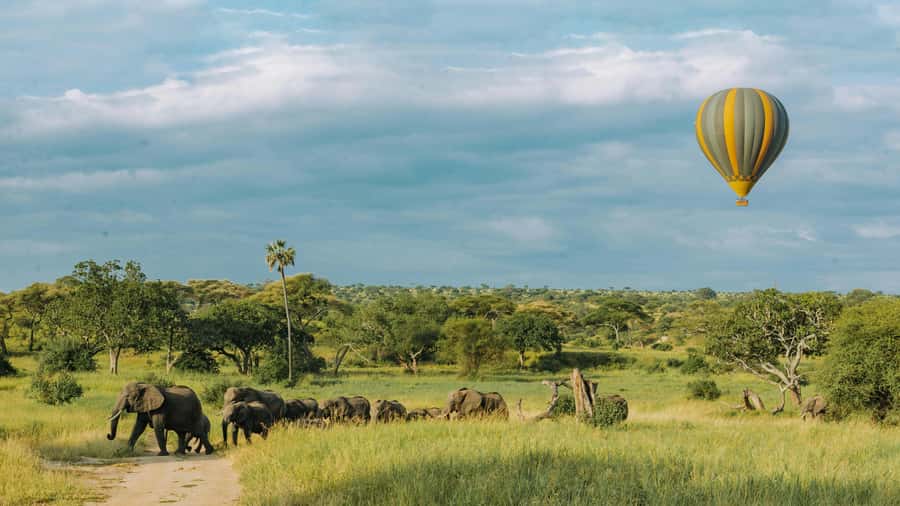 3-Day Safari to Serengeti & Ngorongoro + Balloon experience - What the $900 price really covers