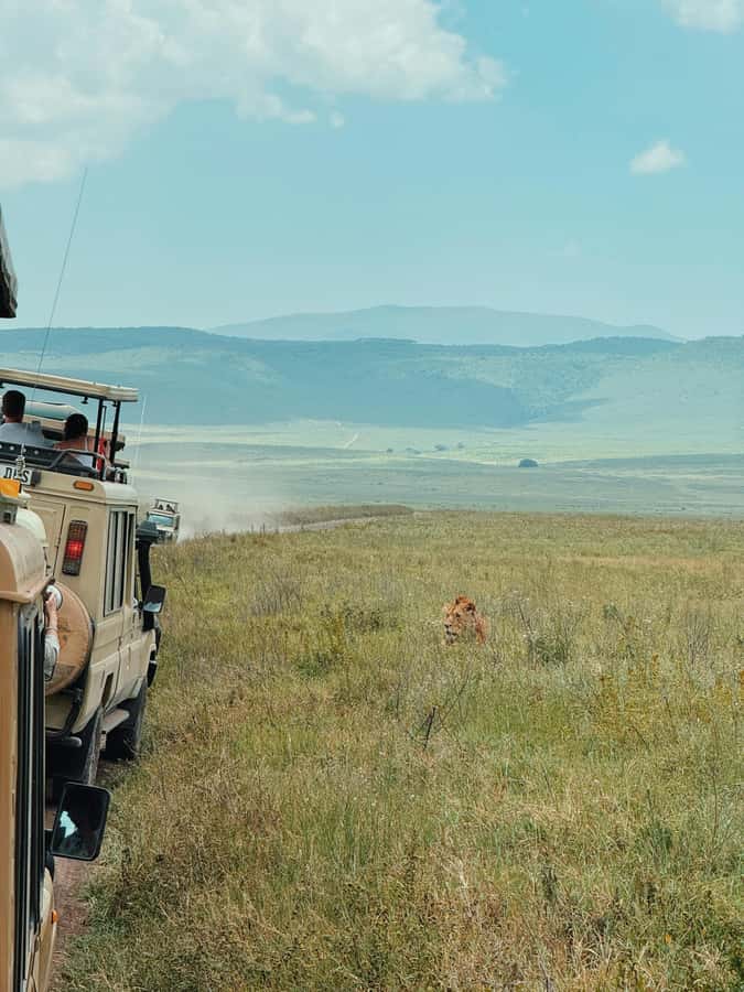 3-Day Safari to Serengeti & Ngorongoro + Balloon experience - Day one: Arusha to the Serengeti plains