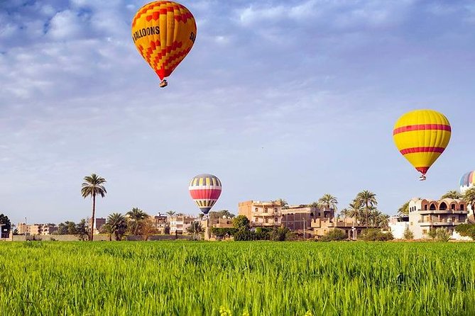 3 Nights Cruise Aswan to Luxor including Abu Simbel, Nubian Village&Air Balloon - Day three: Edfu by horse carriage and the river at work