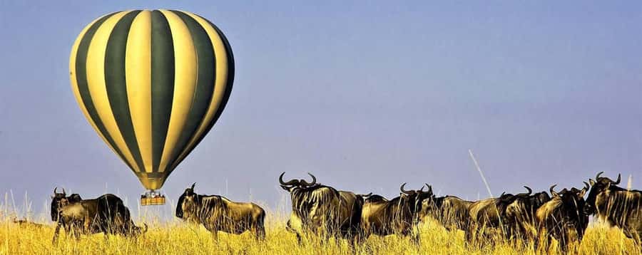 3Days Masai Mara Safari with Hot Air Balloon Ride Experience - Key details before you book