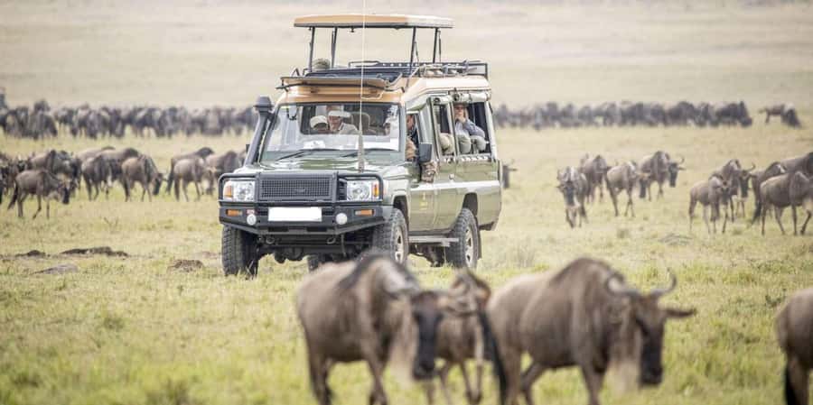 3Days Masai Mara Safari with Hot Air Balloon Ride Experience - The final morning drive back to Nairobi