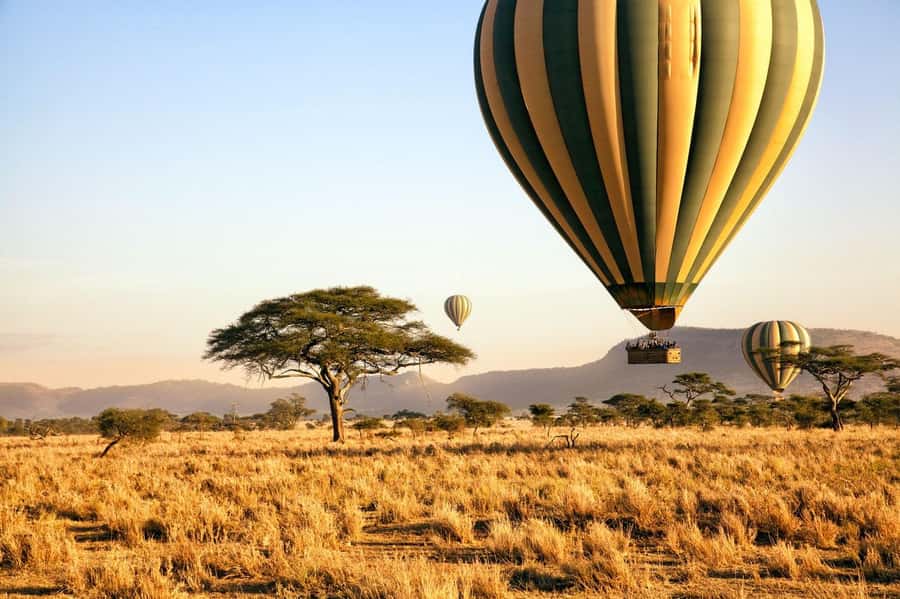 3Days Masai Mara Safari with Hot Air Balloon Ride Experience - Should you book it?