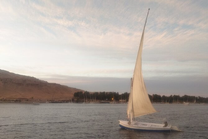 4 Days Nile Cruise, Aswan to Luxor AbuSimbel optional hot balloon - Guides, group size, and communication