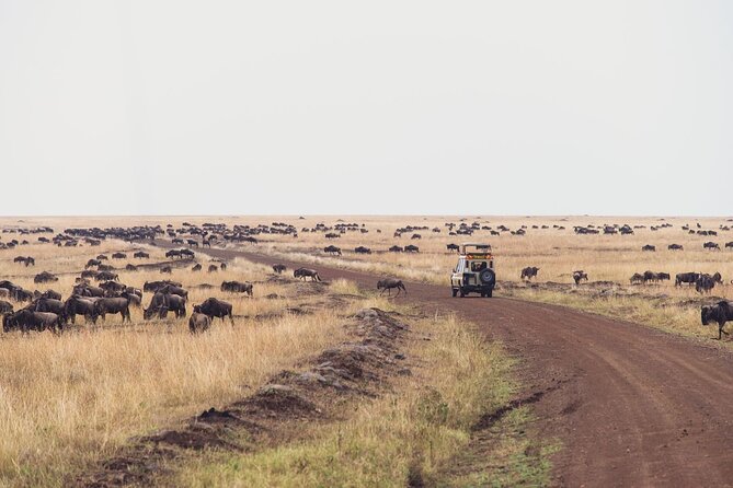 7 Day Private Jeep Safari, 5 star lodges with Balloon Ride Kenya - Day 7: One last drive and back to Nairobi