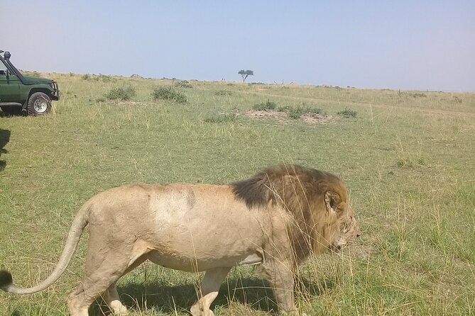 7 Day Private Jeep Safari, 5 star lodges with Balloon Ride Kenya - Day 2: A balloon over the Mara, then the Mara River