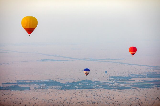 Adventure Hot Air Balloon with Buffet Breakfast & Falcon Show - The falcon show connects the outing to local tradition