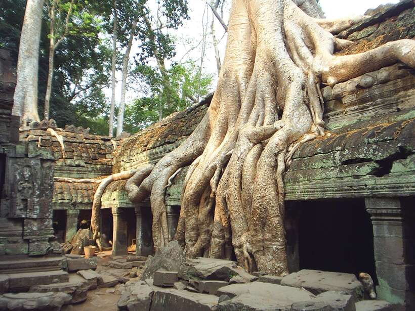 Angkor Wat: Small-Group Tour with Balloon Ride and Lunch - Key points to know before you book