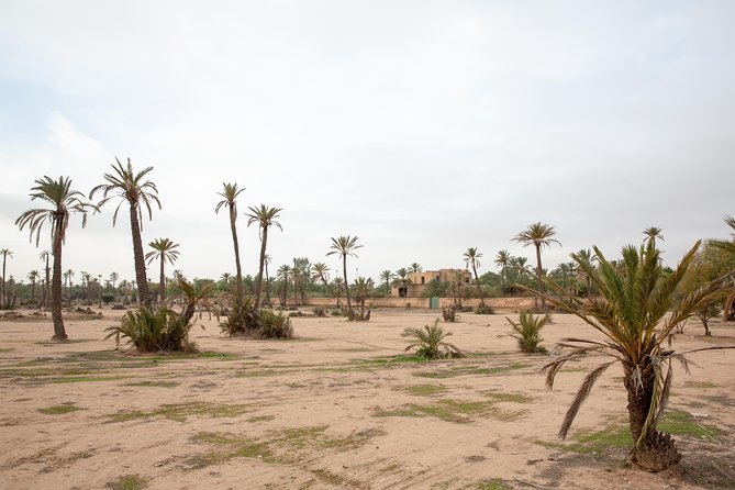 Atlas Mountains Hot Air Balloon Ride from Marrakech with Berber Breakfast and Desert Camel Experience - What the Atlas foothills look like from above