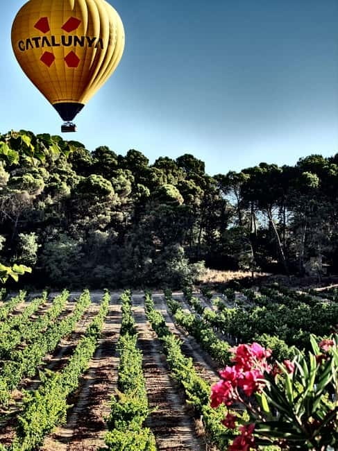 Balloon flight: panoramic view of Montserrat and Transport from Barcelona - Key details before you book