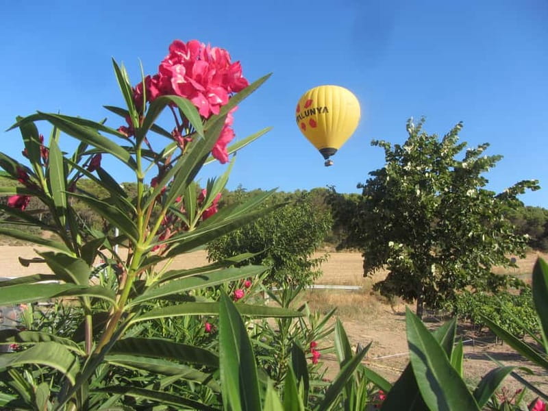 Balloon flight: panoramic view of Montserrat and Transport from Barcelona - From Plaza Catalunya to the Montserrat countryside