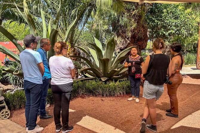 Balloon Flight with Teotihuacan & Guadalupe Shrine Full day Tour - Timing, group size, and the risk of delays