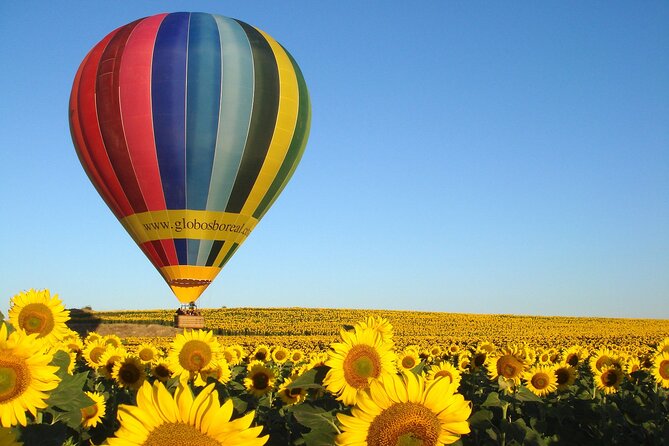 Balloon Ride Over Segovia or Toledo with Optional Transport from Madrid - What happens during the roughly four-hour outing