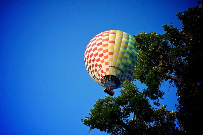 Balloon Ride with Complimentary Drink from Coruche - What the countryside looks like from the basket