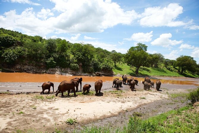 Balloon Safari & Bush Breakfast in Serengeti - Miracle Experience - Key points to know before you book