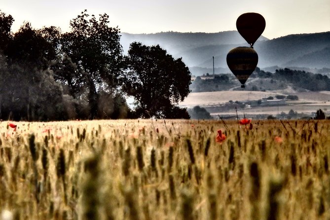 Barcelona: Montserrat Hot Air Balloon Ride with Champagne Toast - Who Will Enjoy This Most?