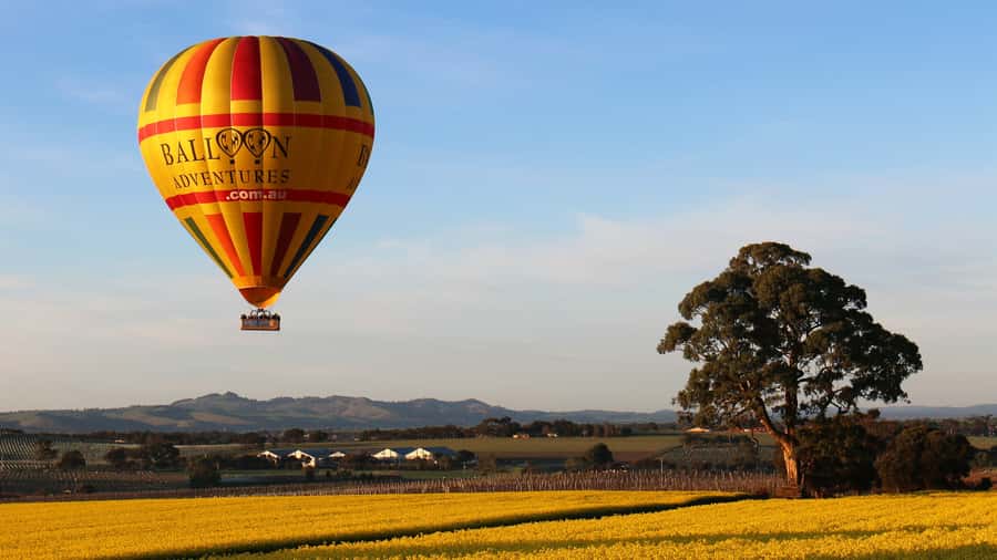 Barossa Valley: Hot Air Balloon Flight - Meeting the crew in Nuriootpa before dawn