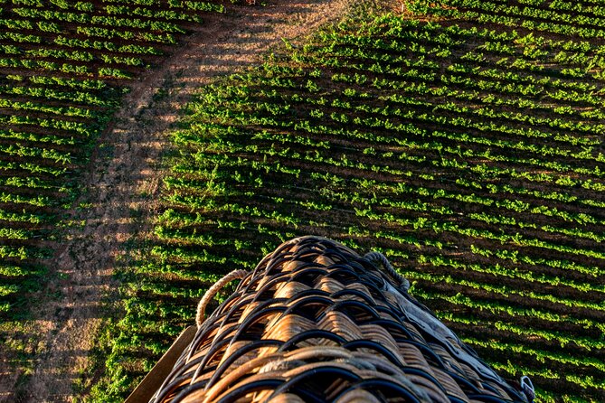 Burgundy Hot-Air Balloon Ride from Beaune - A different way to see Burgundy from Beaune