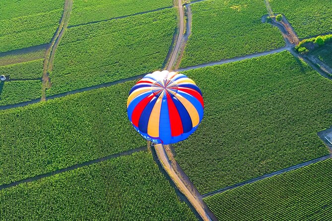 Burgundy Hot-Air Balloon Ride from Beaune - Safety, comfort, and the landing