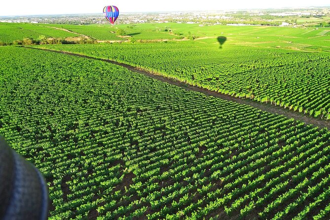 Burgundy Hot-Air Balloon Ride from Beaune - The $315.74 price and what it buys