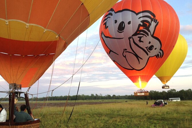 Cairns Classic Hot Air Balloon + Lemoncello - Why this Cairns balloon ride is worth considering
