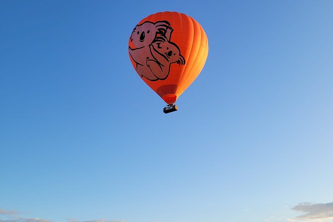 Cairns Hot Air Balloon Flight + Bad Fishy Jet Boating Cairns - The 4:00 am start and the road inland