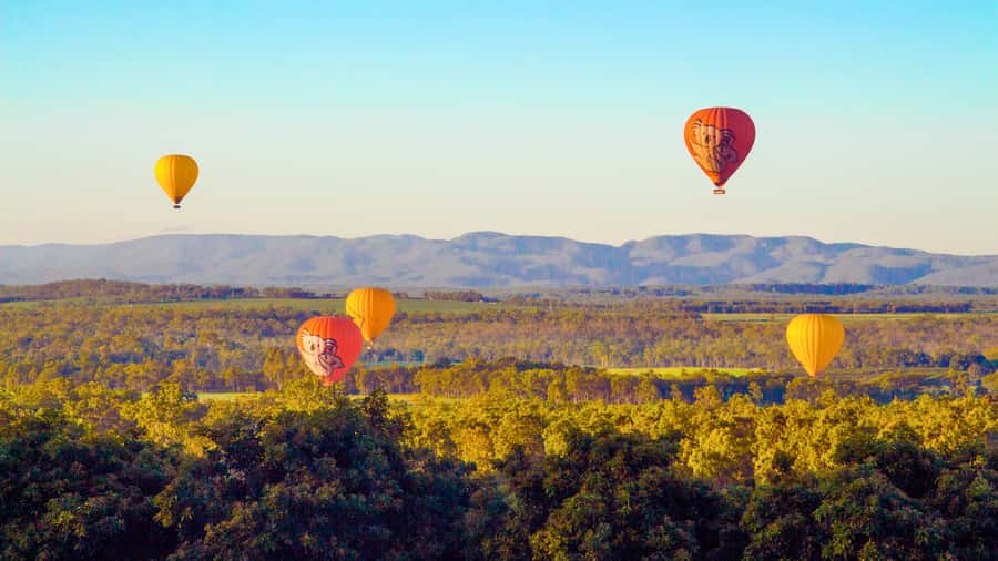 Cairns: Hot Air Balloon Flight with Transfers - Who should book this morning?