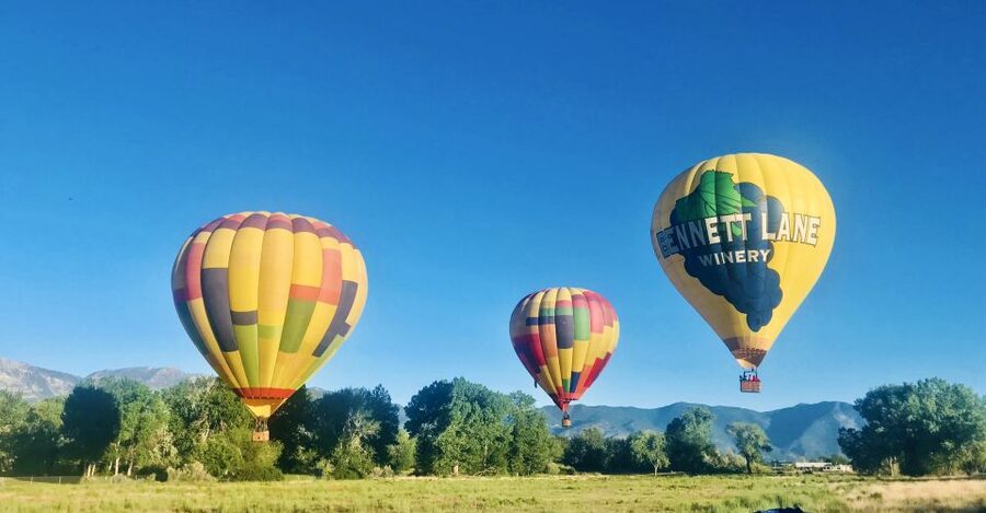 Carson City: Hot Air Balloon Flight - What the three-hour activity really includes