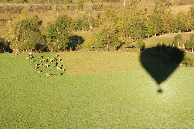 Catalonia Hot Air Balloon with Optional Pick up from Barcelona - Is $214.84 good value?