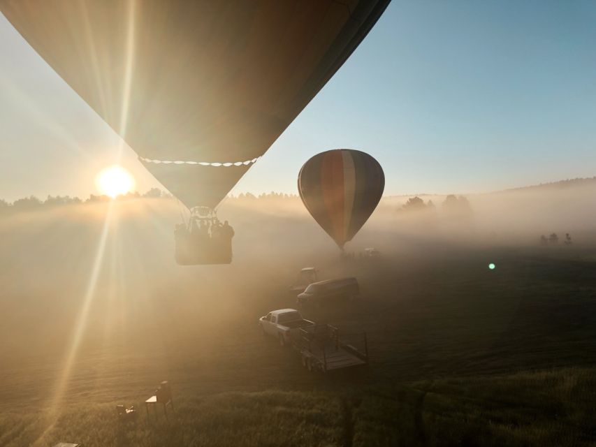 Custer: Black Hills Hot Air Balloon Flight at Sunrise - Watching wildlife from a basket