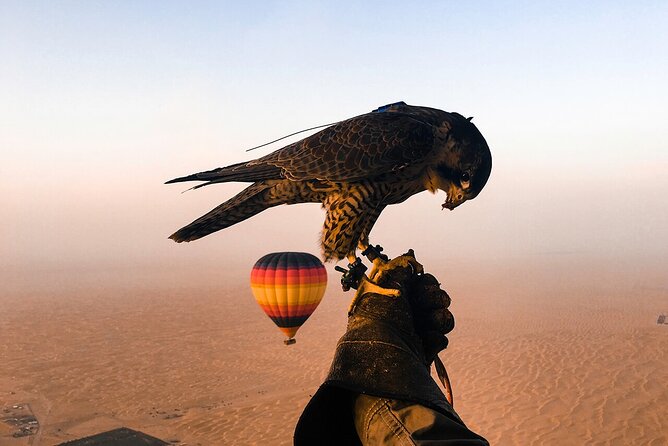 Dubai Desert By Hot Air Balloon With Falcon Show and Camel - Leaving Dubai before dawn