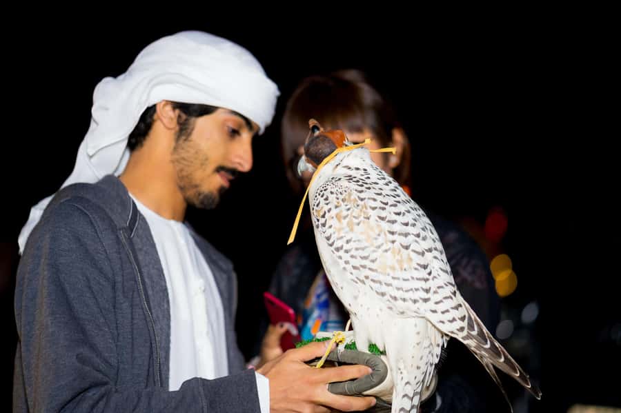 Dubai: Hot Air Balloon, Camel Ride, Desert Safari & More - The $375 price and what you receive