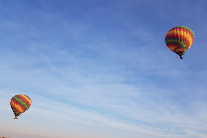 Dubai Hot Air Balloon Ride with Breakfast, Falconry & Camel Ride - Desert wildlife and the Dubai Conservation Reserve