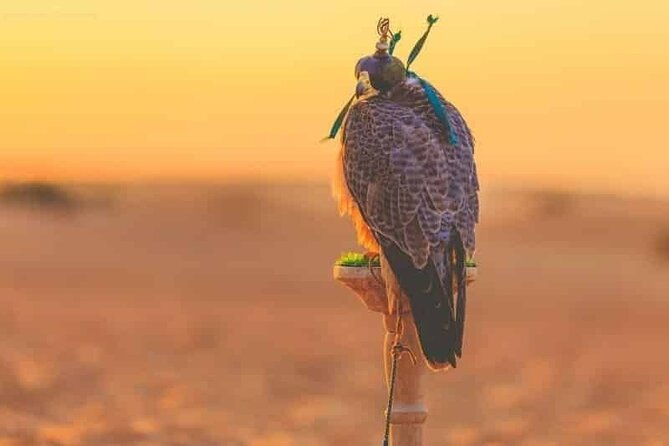 Dubai Hot Air Balloon Sunrise Sightseeing Ride - The early pickup and drive into the desert