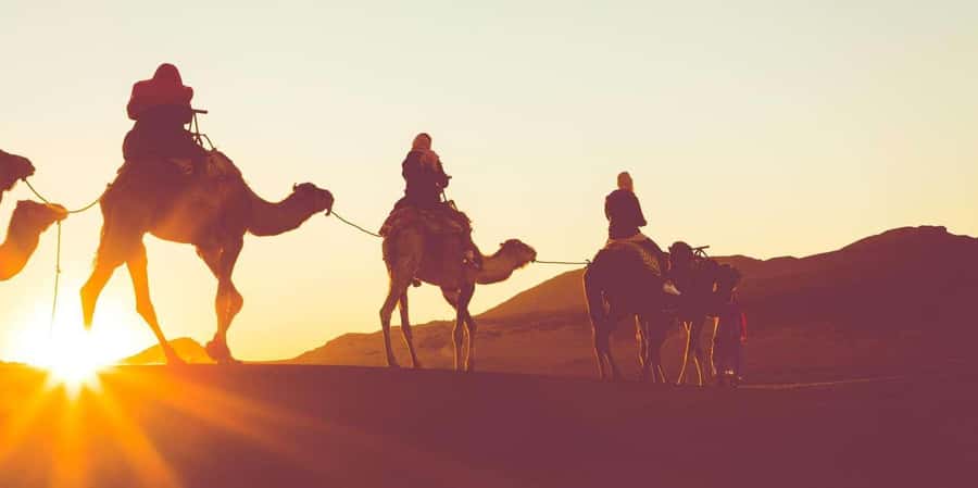Dubai: Hot Air Balloon with Camel, ATV, & Horse Ride Options - Leaving Dubai before the city wakes