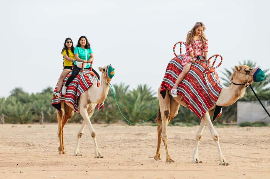 Dubai: Sunrise Balloon Flight with Camel Ride & Breakfast - Safety and comfort in the basket