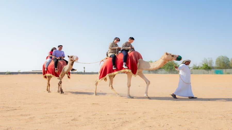 Dubai: Sunrise Hot Air Balloon Flight, Breakfast, Camel Ride - Who should book this sunrise outing