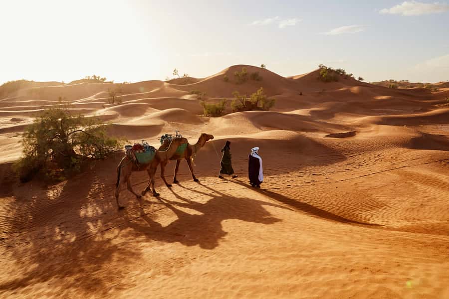 Dubai: Sunrise Hot Air Balloon Tour with E-Certificate - From Dubai Hotel Pickup to the Desert Launch Site