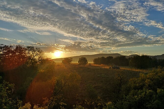 Early Morning Balloon Safari with Breakfast from Magaliesburg - Weather, timing, and cancellation concerns