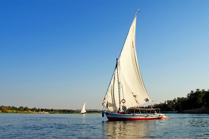 Enjoy 4 nights Nile Cruise Luxor&Aswan&Abu Simbel&Balloon from Cairo by plane - Pace, group size, and practical concerns