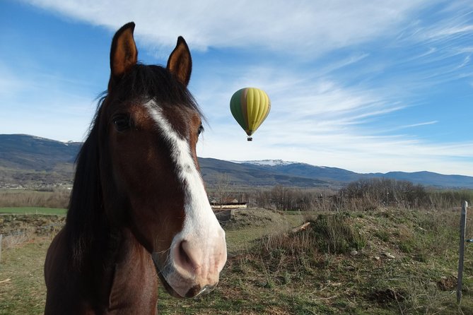 Exclusive Pyrenees Hot Air Balloon Barcelona - What the Private Balloon Flight Feels Like