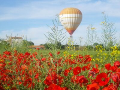 Half-Day Hot Air Balloon Flight Ticket