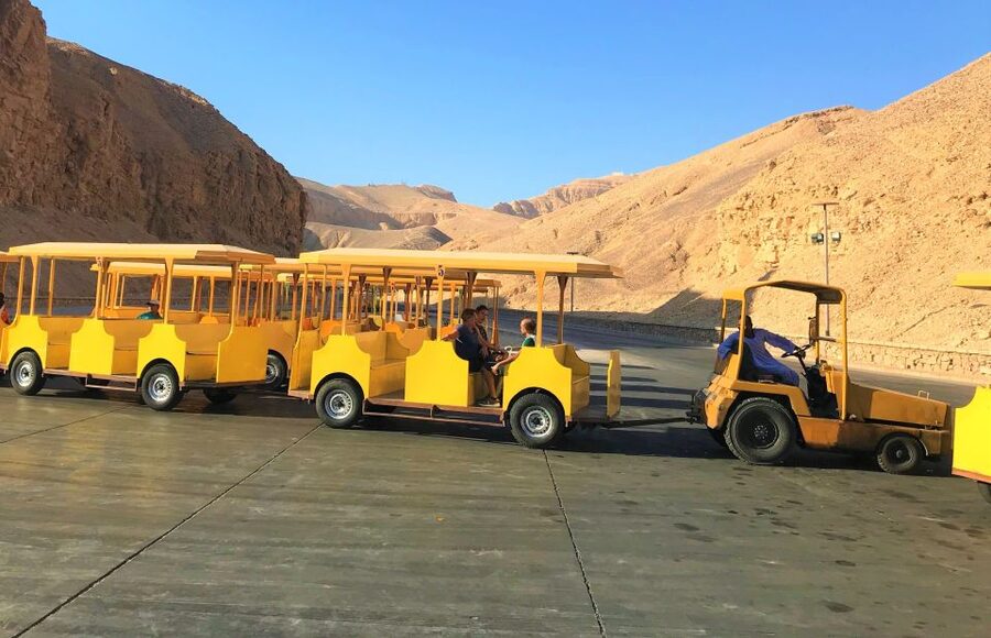 From Cairo: 5-Day Nile Cruise to Aswan & Balloon by Flights - Abu Simbel and the flight back to Cairo