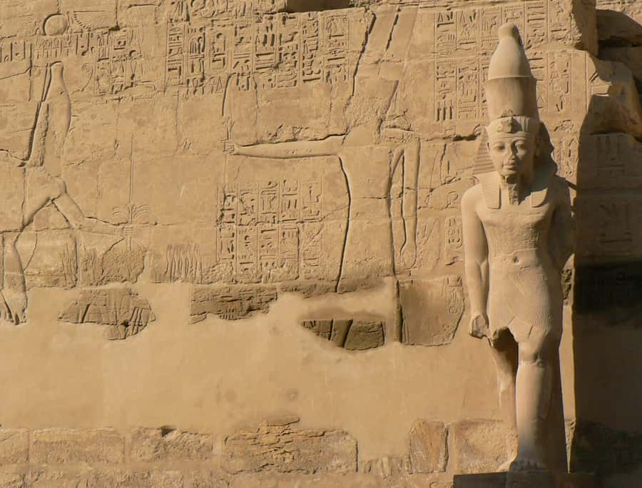 From Cairo: 5-Day Tour with Nile Cruise, Balloon, & Flights - The pace, comfort, and practical tradeoffs