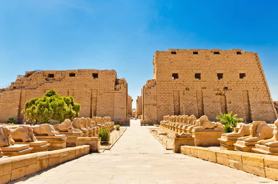From Luxor: 3-Night Nile Cruise to Aswan and Hot Air Balloon - Day 4: Abu Simbel and the long road to Aswan