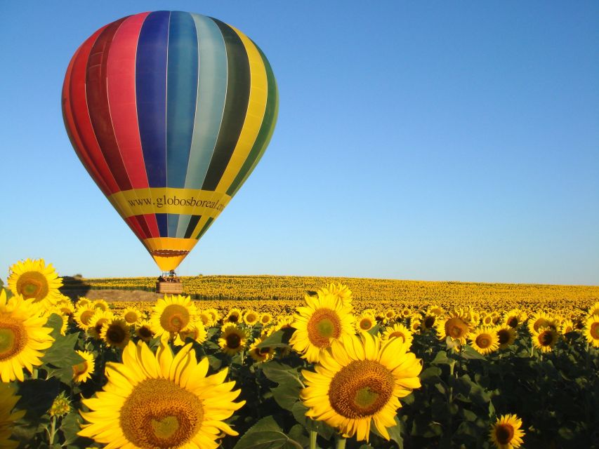 From Madrid: Hot Air Balloon Ride in Segovia with Pickup - Is $288 A Fair Price?