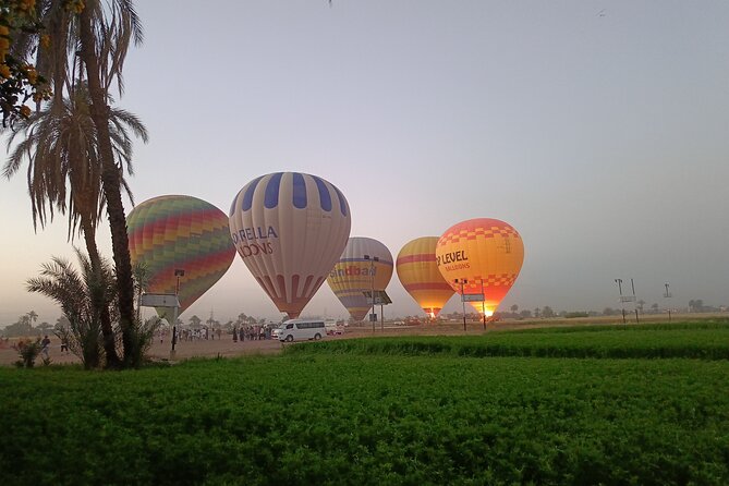 Guided Hot Air Balloon Tour in Luxor - What you see from the West Bank